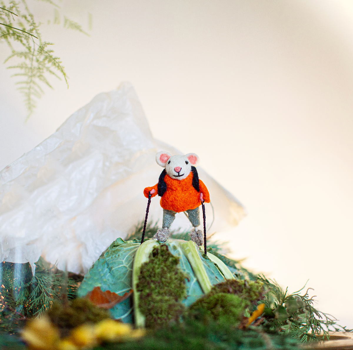Hiking  Mouse