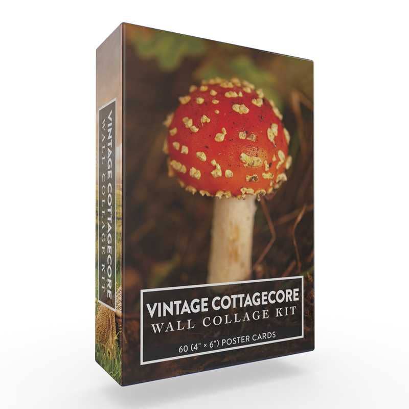 Vintage Cottagecore Wall Collage Kit by Adams Media