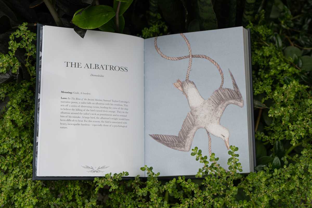 Ornithography by Jessica Roux