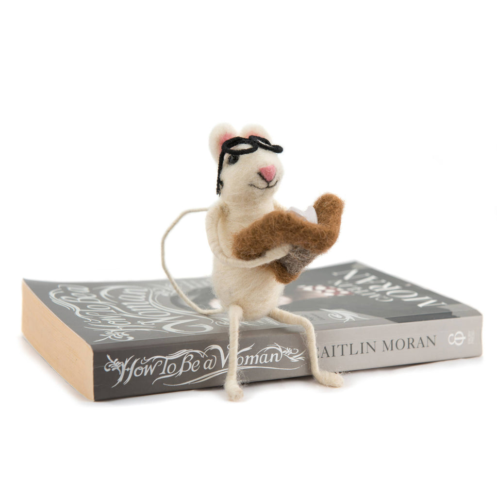 Teacher Mouse
