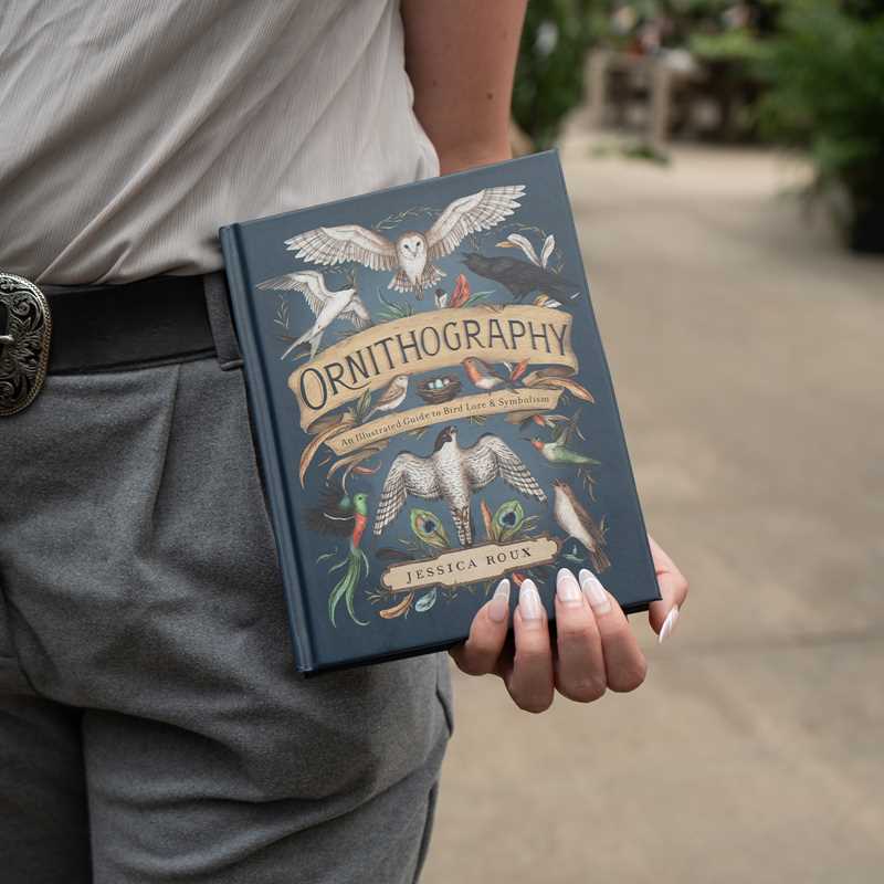 Ornithography by Jessica Roux