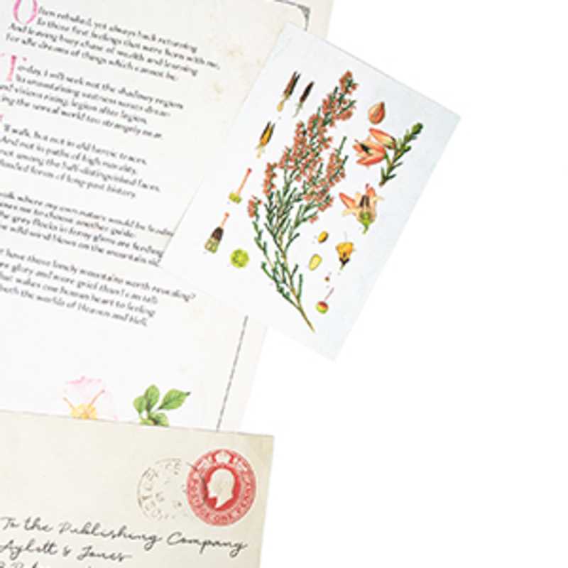 Wuthering Heights by Emily  Brontë