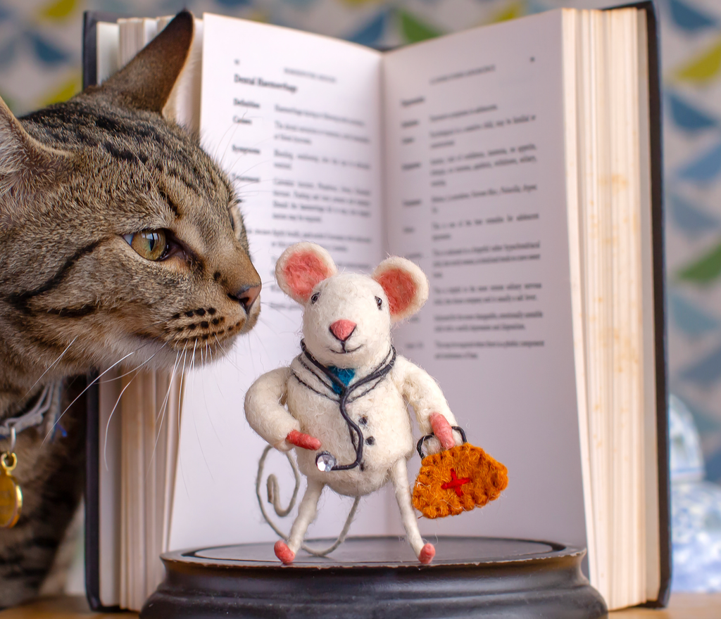 Doctor Mouse