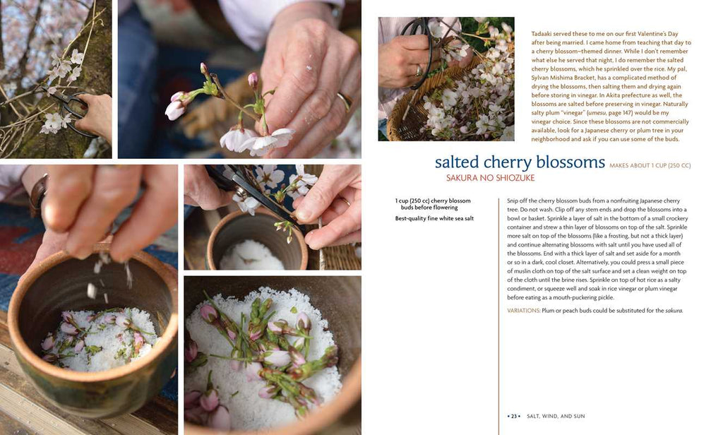 Preserving the Japanese Way by Nancy Singleton Hachisu