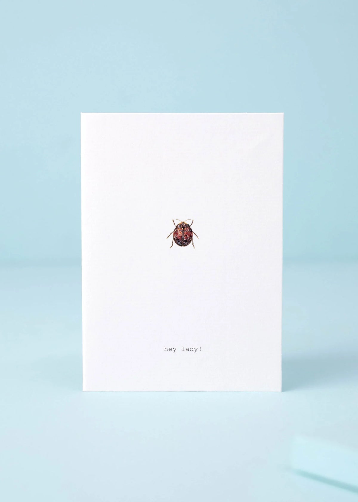Hey Lady Greeting Card
