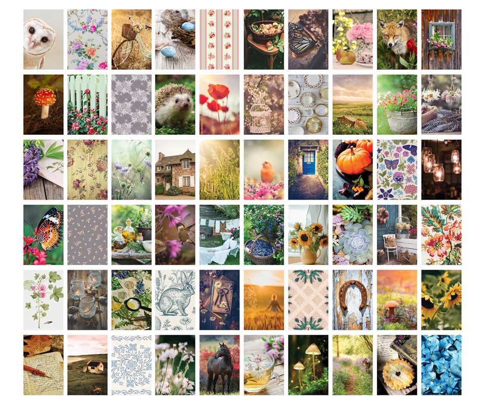 Vintage Cottagecore Wall Collage Kit by Adams Media