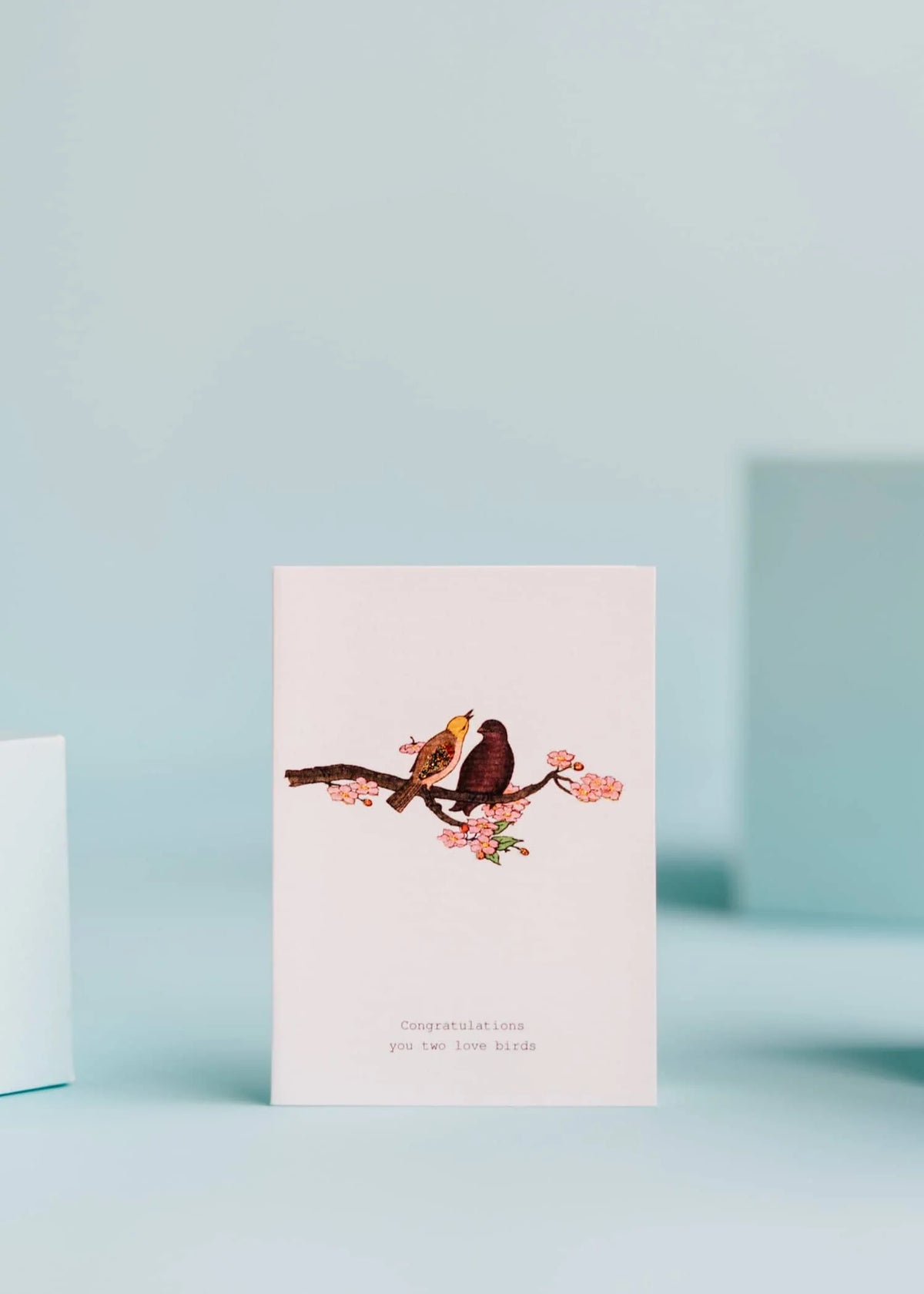 Congratulations Love Birds Greeting Card