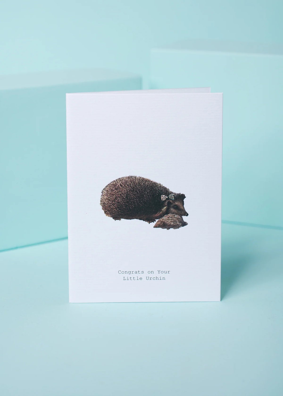 Little Urchin Greeting Card