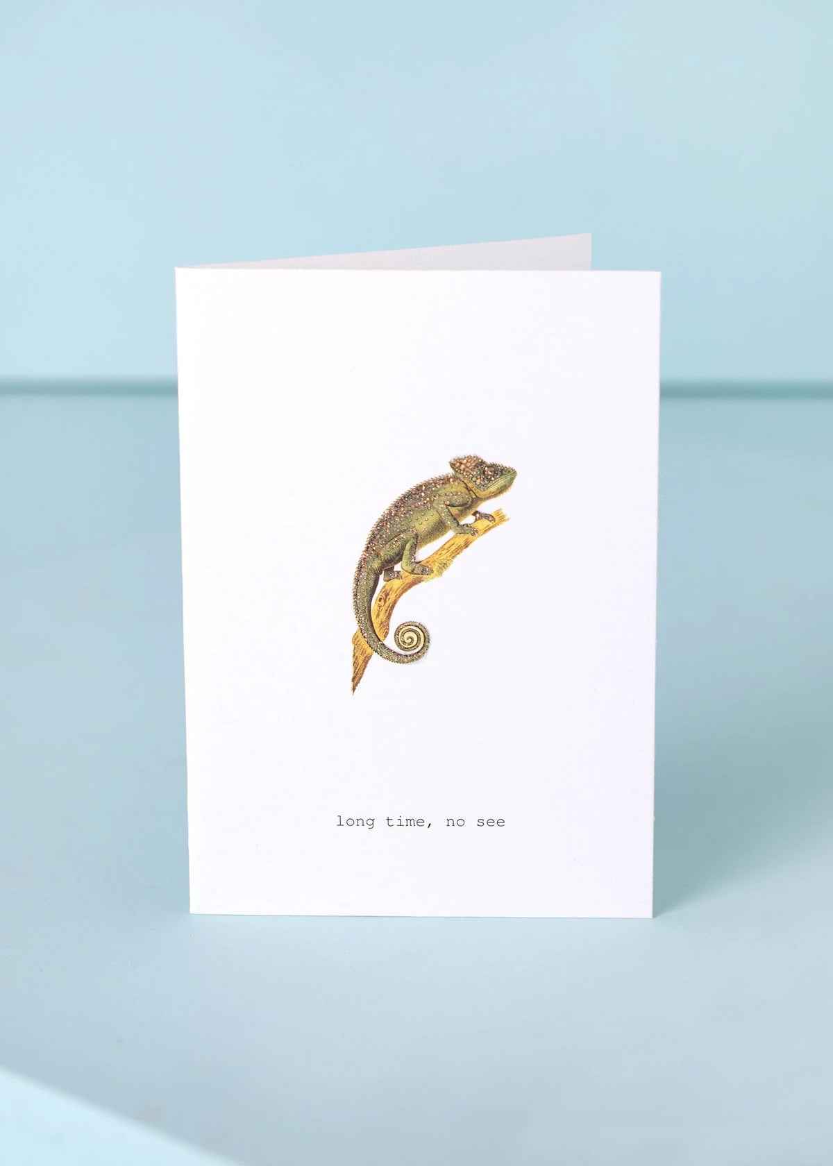 Long Time No See Greeting Card