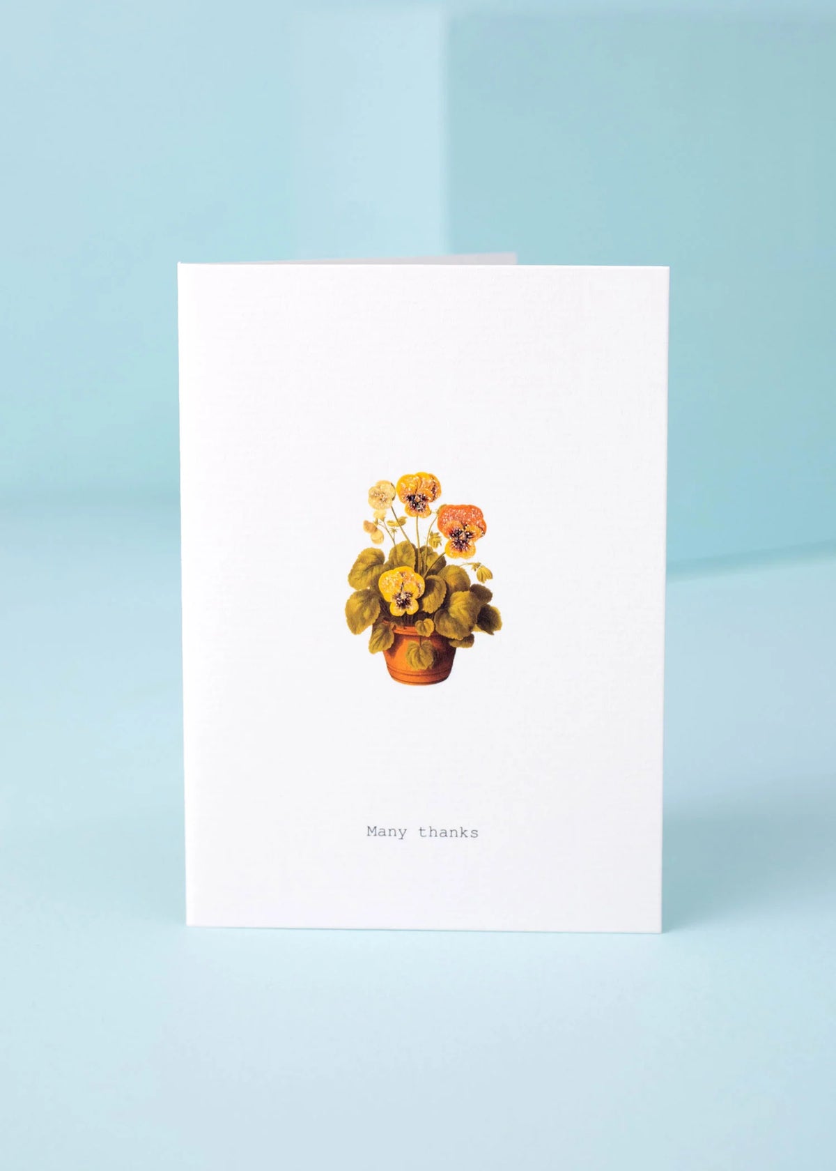 Many Thanks Greeting Card