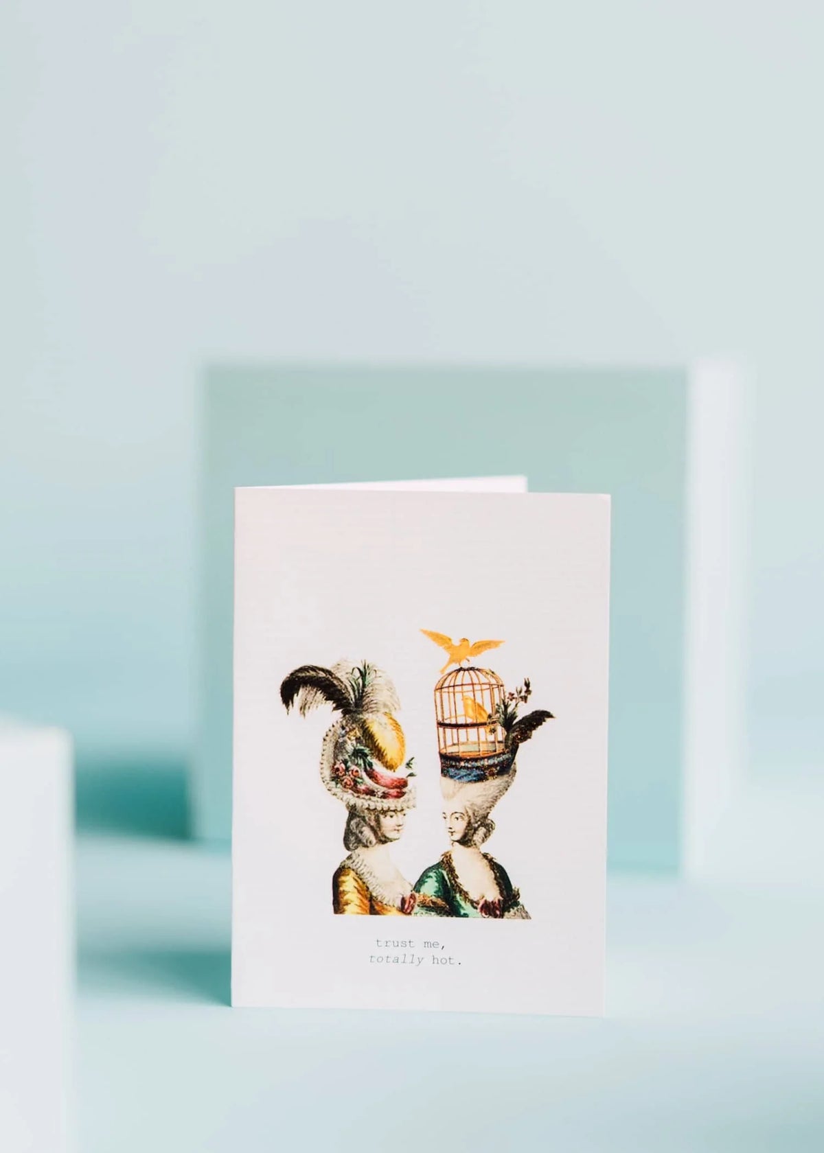 Trust Me, Totally Hot Greeting Card